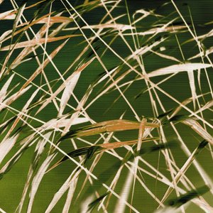 La beauté dynamique de la nature