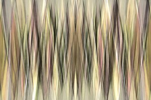Lignes abstraites aux tons terreux - Christina Sillen