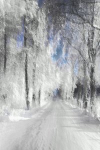 Sentier enneigé et éthéré - Christina Sillen