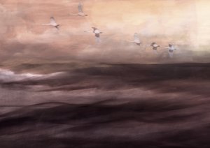 Le vol éthéré du cygne - Christina Sillen