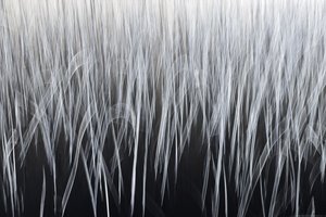 Lignes verticales éthérées - Christina Sillen