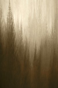 Brume forestière - Christina Sillen