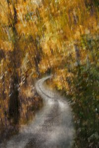 La route de l