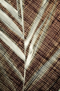 Motif de feuille finement travaillé - Christina Sillen