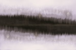 Reflet d