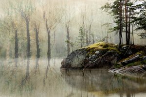 Le lac de la Forêt Brumeuse - Christina Sillen