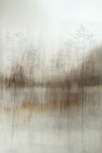 Reflets dans la forêt brumeuse - Christina Sillen