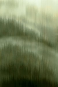La sérénité de la forêt brumeuse - Christina Sillen