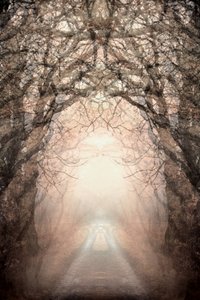  - Christina Sillen