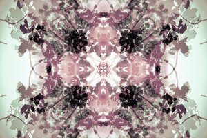 Symétrie botanique en tons neutres - Christina Sillen