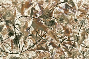 Feuillage forestier aux teintes douces - Christina Sillen