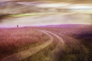  - Christina Sillen