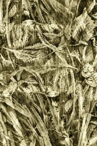 Texture feuille rustique - Christina Sillen