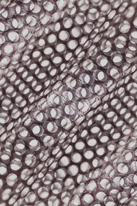 Motif circulaire chatoyant - Christina Sillen