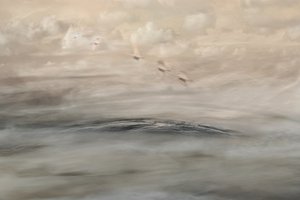 Silver Haze - Christina Sillen