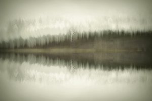  - Christina Sillen