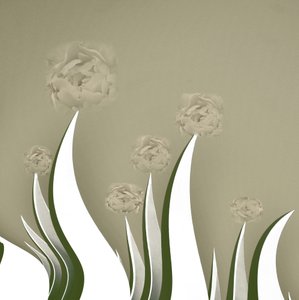 Fleurs crème délicates - Christina Sillen