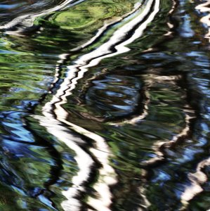 Reflets chatoyants sur l