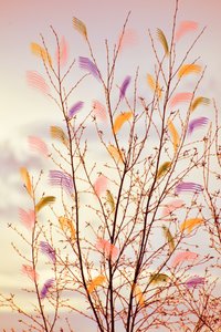Branches printanières fantaisistes