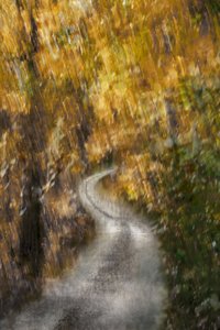 Sentier sinueux d
