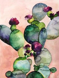 Fleurs de cactus colorées - Christine Lindstrom