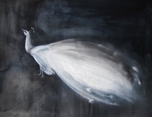 Paon blanc éthéré - Christine Lindstrom