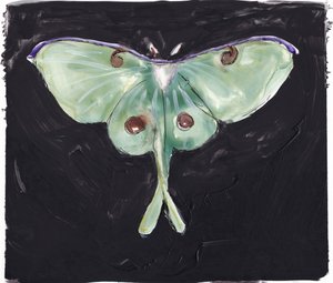 Papillon de nuit vert « Luna » - Christine Lindstrom