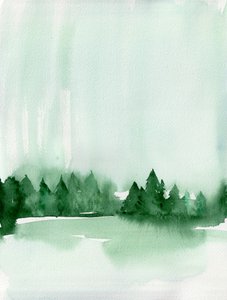 Le lac de la Forêt Brumeuse - Christine Lindstrom