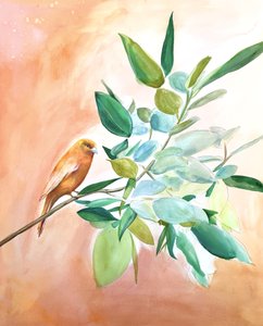 Agence Orange Bird - Christine Lindstrom