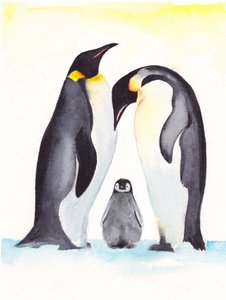 Portrait de famille de manchots - Christine Lindstrom