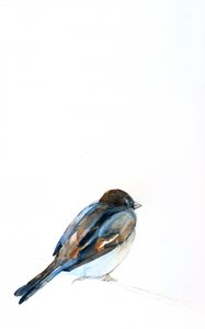 Aquarelle représentant un moineau perché - Christine Lindstrom