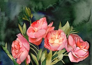 Fleurs roses à l