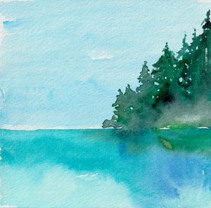 Reflet serein de la forêt - Christine Lindstrom
