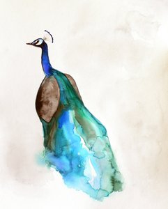 Bleu paon éclatant - Christine Lindstrom