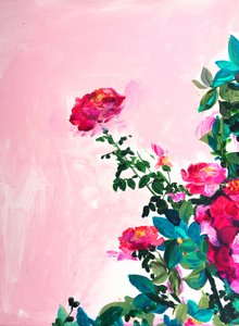 Une roseraie aux couleurs éclatantes - Christine Lindstrom