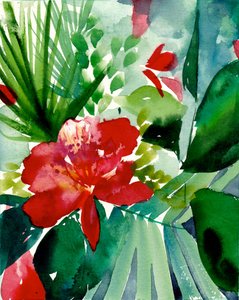 Une floraison tropicale éclatante - Christine Lindstrom