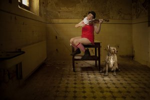 Une sérénade dans une chambre originale - Christine von Diepenbroek