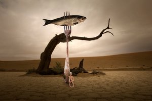  - Christine von Diepenbroek