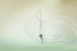 Danseuse fantaisiste des bulles