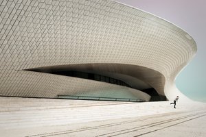 Balai architectural blanc
