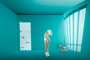 mise en cage