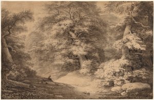 Bois de hêtres avec un voyageur se reposant - Christoph Nathe