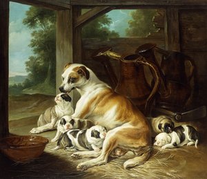 Une mère avec ses chiots, 1734