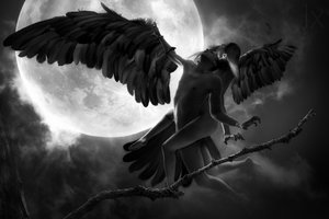 Étreinte ailée au clair de lune