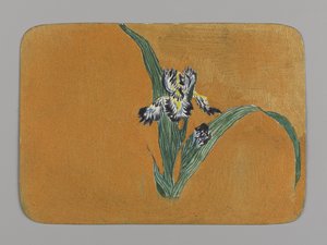 Iris