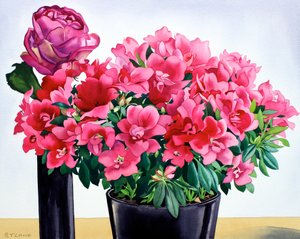 Azalée rose - Christopher Ryland