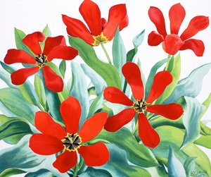 Madame Lefeber Tulipes 2