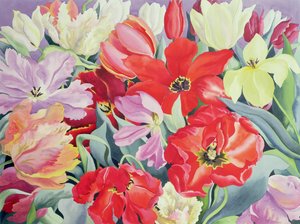 Tulipes en masse, 2003