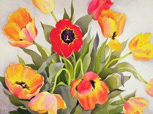 Tulipes orange et rouges
