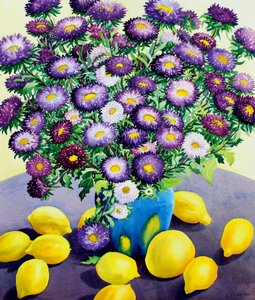 Asters violets et citrons - Christopher Ryland